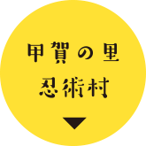 甲賀の里忍術村